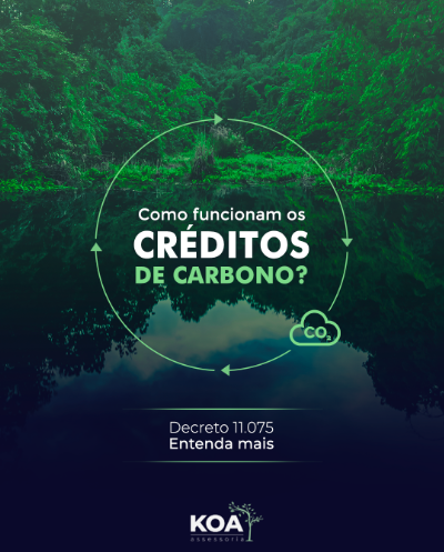 Paisagem com árvores e rio, com a pergunta: como funcionam os créditos de carbono?
